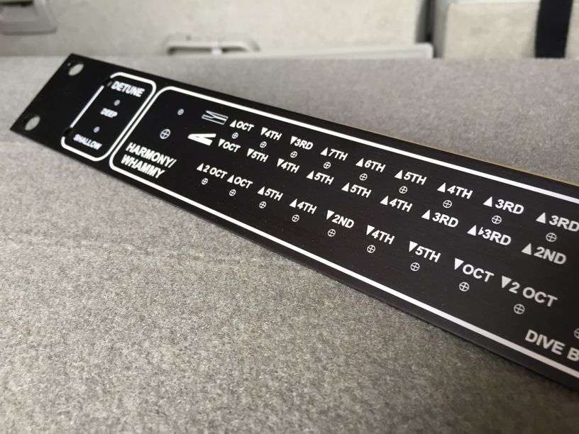 panel